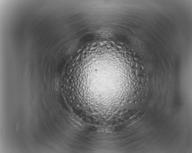 X0000052980177200507151838