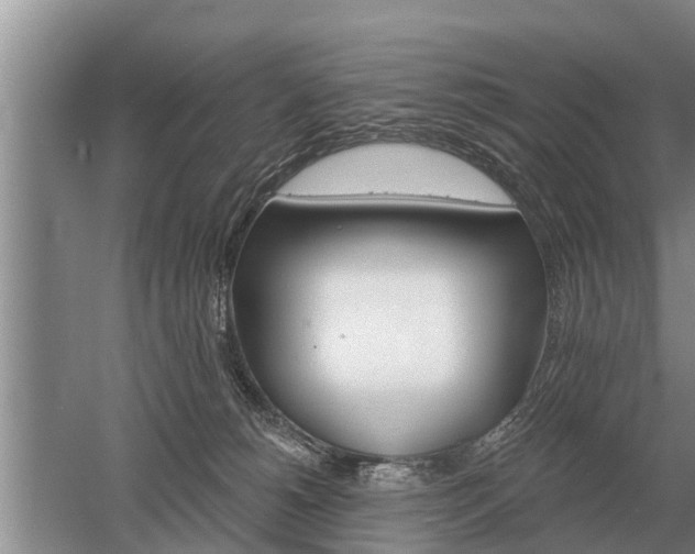 X0000052980180200507151838