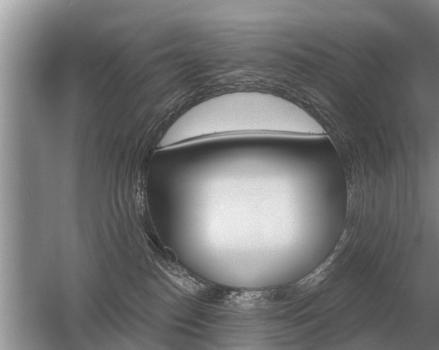 X0000052980186200507151838