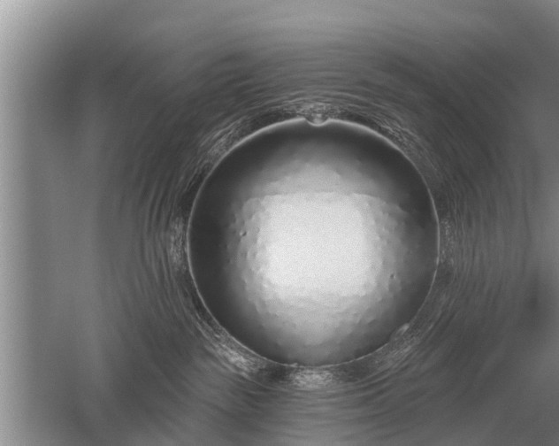 X0000052980189200507151838