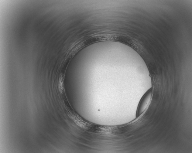 X0000052980190200507151838