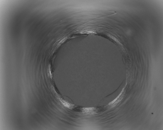 X0000052980192200507151838