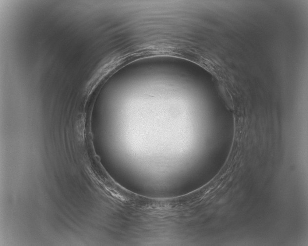 X0000052980194200507151837