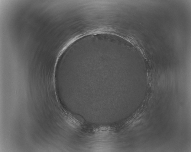 X0000052980196200507151837