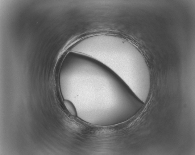 X0000052980198200507151837