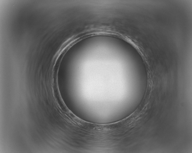 X0000052980199200507151837