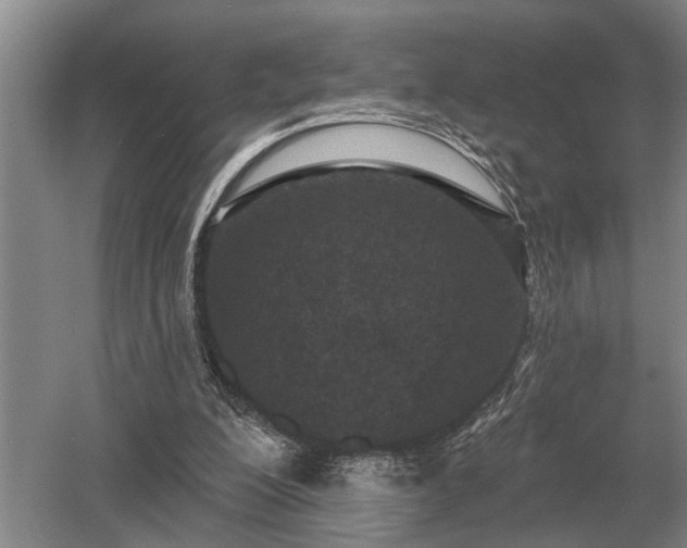 X0000052980200200507151837