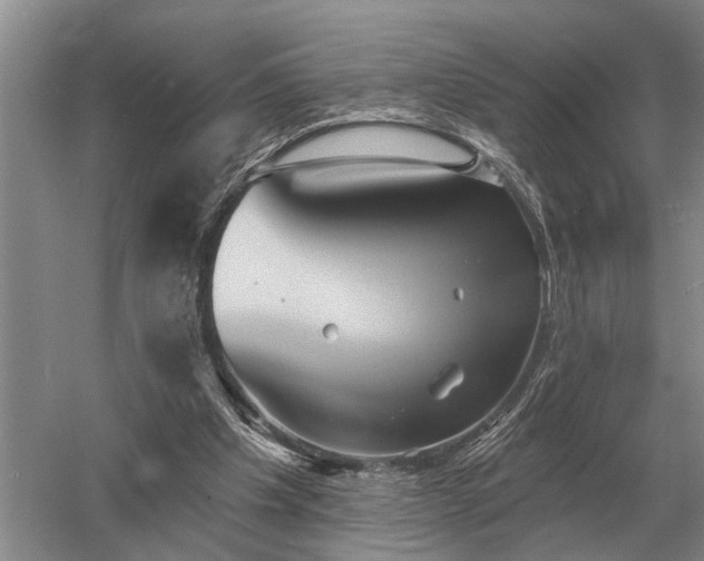 X0000052980201200507151837