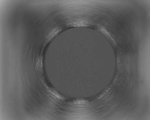 X0000052980202200507151837