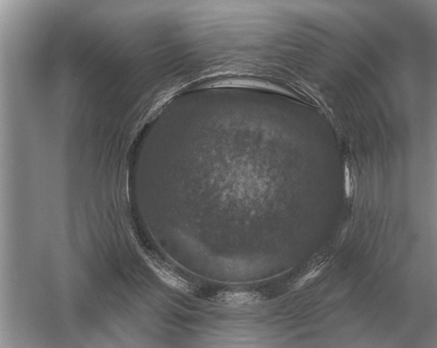 X0000052980205200507151837