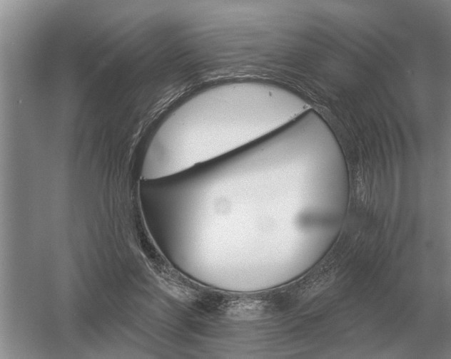 X0000052980206200507151837