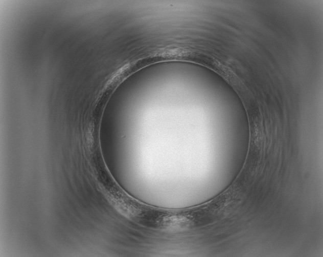 X0000052980208200507151837