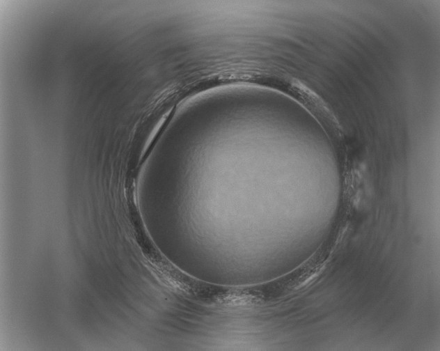 X0000052980209200507151837