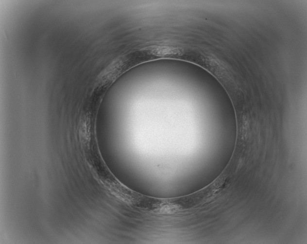 X0000052980210200507151837