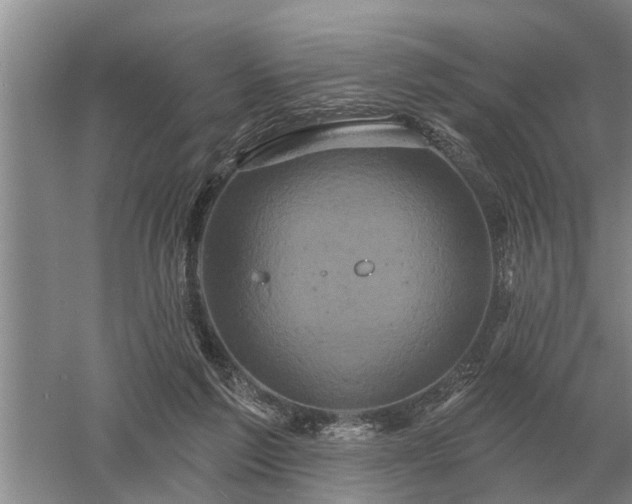 X0000052980213200507151837