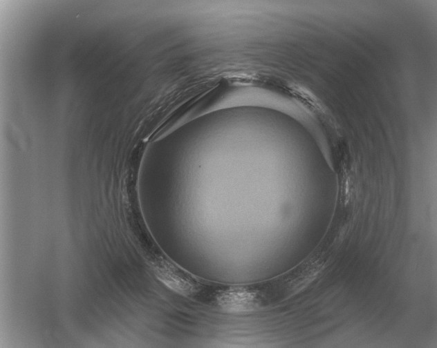 X0000052980217200507151837