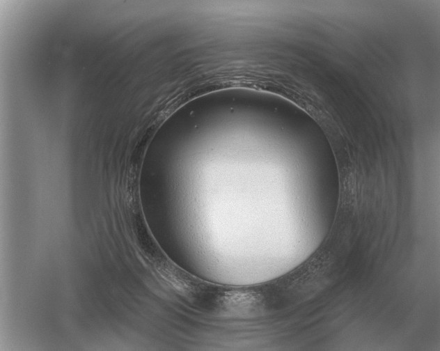 X0000052980218200507151837