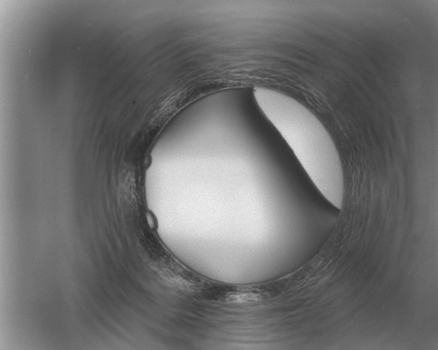 X0000052980220200507151836