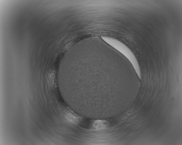 X0000052980222200507151836