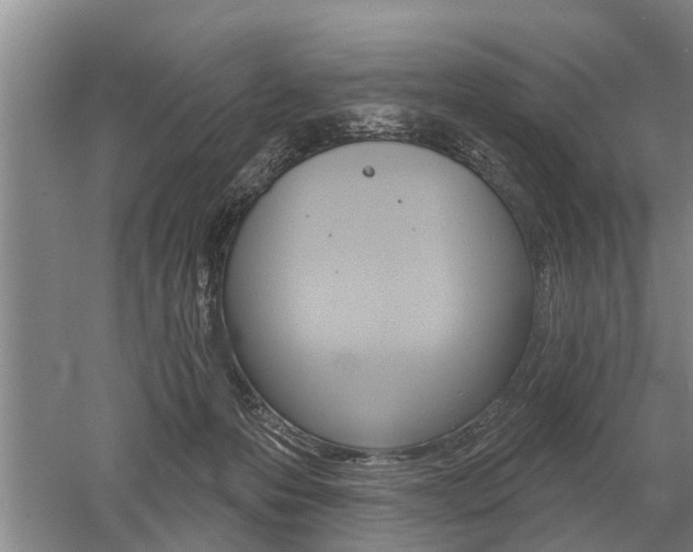 X0000052980223200507151836