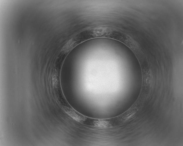 X0000052980226200507151836