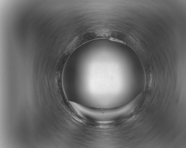 X0000052980229200507151836