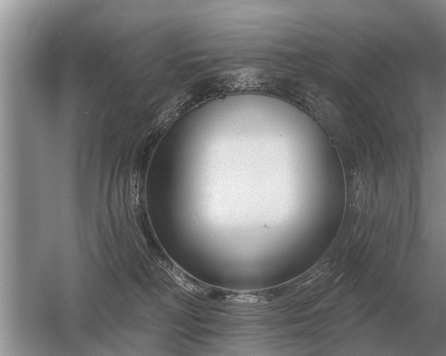 X0000052980230200507151836