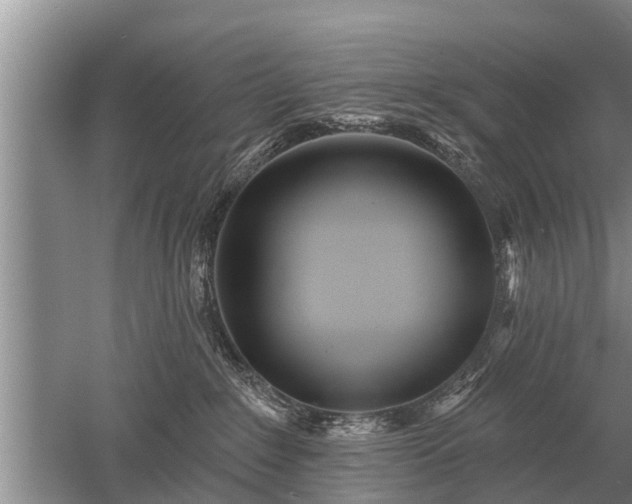 X0000052980235200507151836