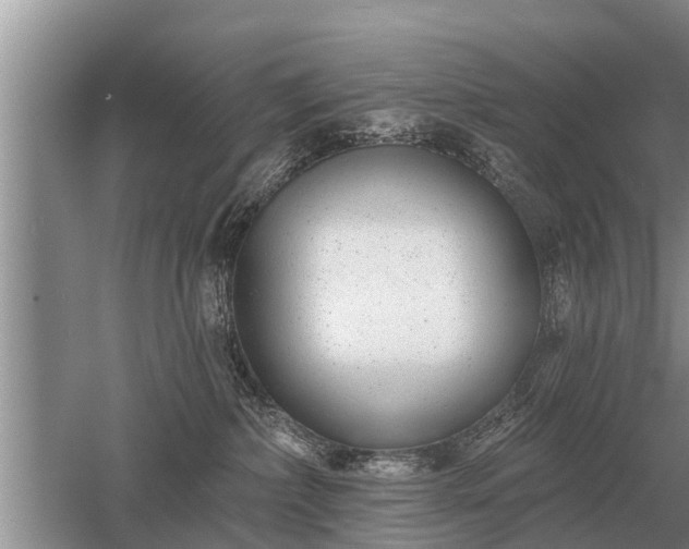 X0000052980236200507151836