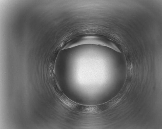 X0000052980237200507151836