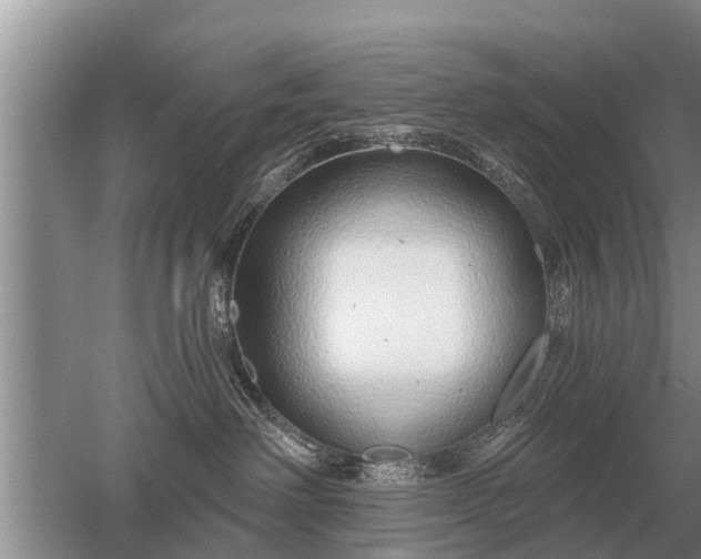 X0000052980238200507151836