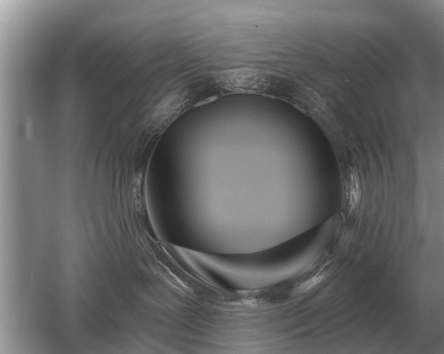 X0000052980239200507151836