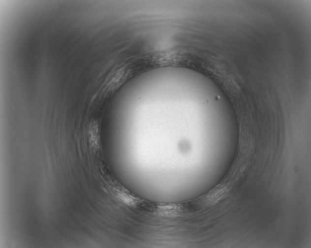 X0000052980240200507151836