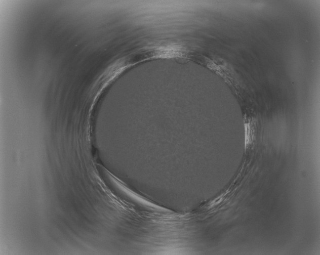 X0000052980243200507151835