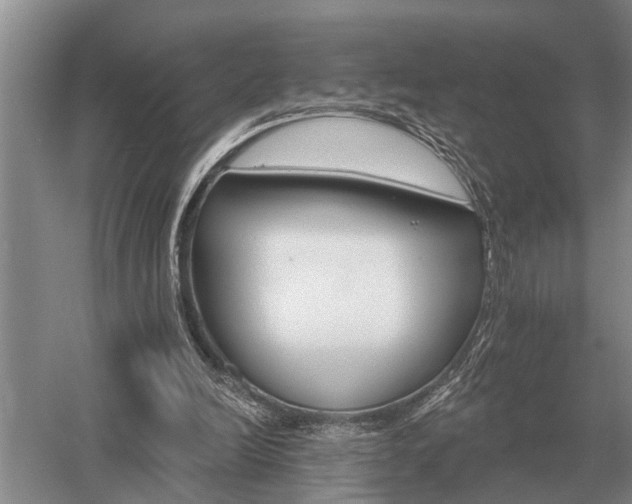 X0000052980246200507151835