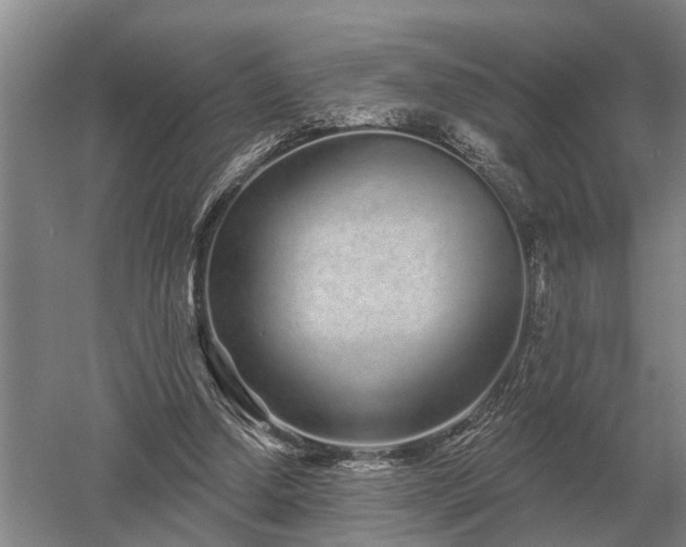 X0000052980250200507151835