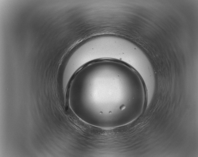 X0000052980252200507151836