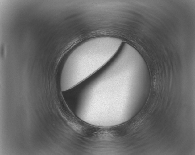 X0000052980254200507151836