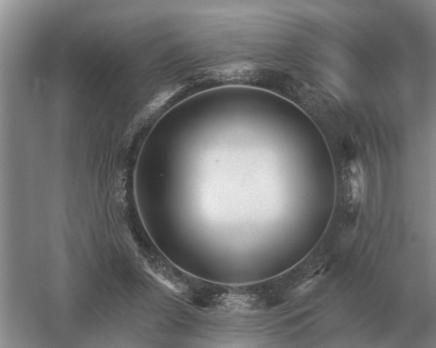 X0000052980255200507151836