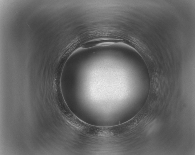 X0000052980258200507151836