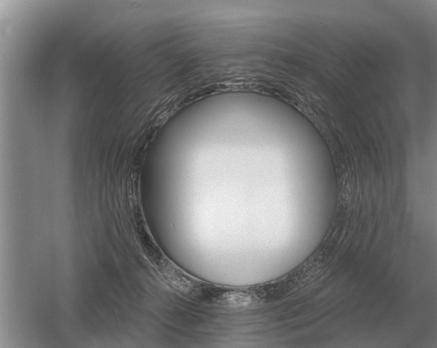 X0000052980272200507151836