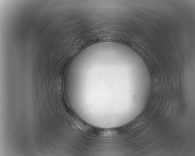 X0000052980274200507151836