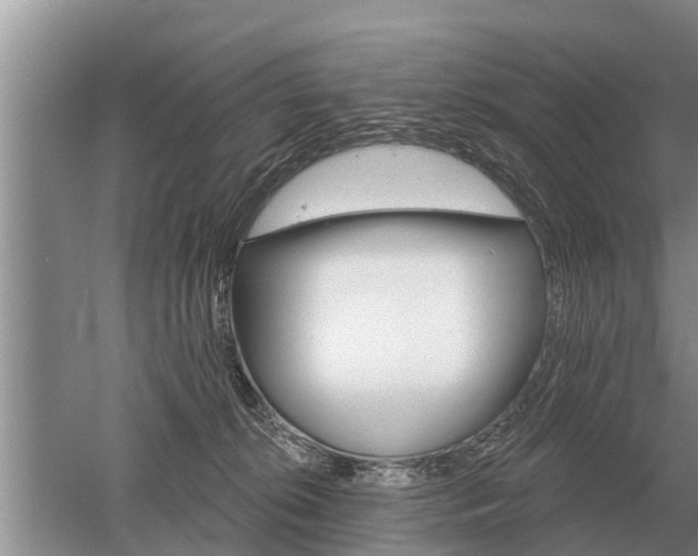 X0000052980276200507151836