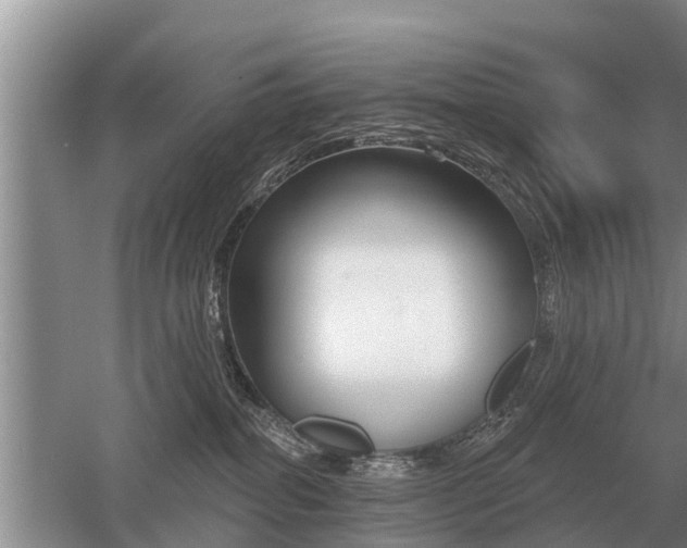 X0000052980282200507151836