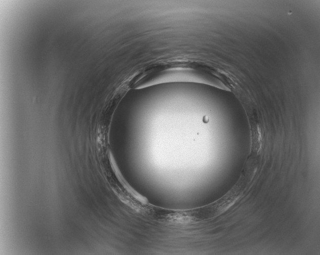 X0000052980284200507151836