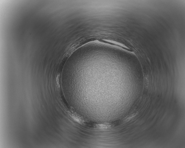 X0000052980286200507151836