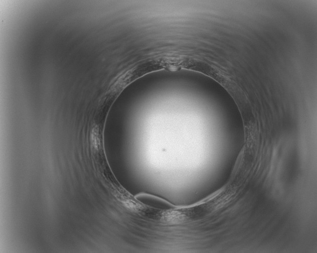 X0000052980287200507151836