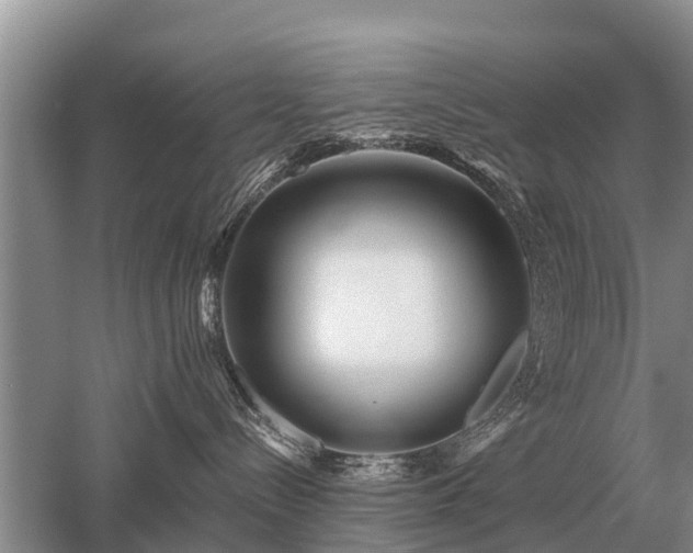 X0000052980288200507151836