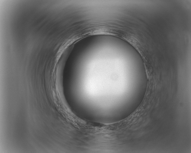 X0000052980289200507151835