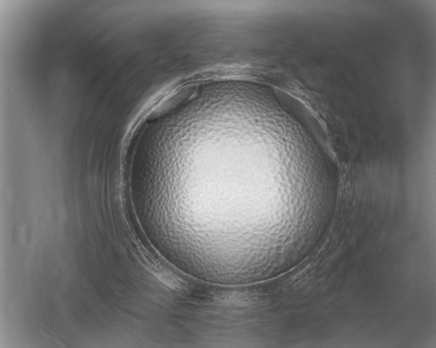 X0000052980293200507151835